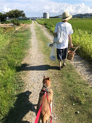 福も初のお墓参り。ご先祖様は大切に