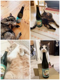 ２０２５年のラベルに選ばれた猫モデルたち。イラストはこれらの写真のポーズを可能なかぎり再現した（同社提供）
