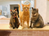 全員ワルの顔=ゆあ＠ライターさん（@yunc24291）提供
