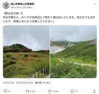 「みくりが池周辺にて熊が１頭出没しています」（富山県警察山岳警備隊の公式Xのアカウントから）