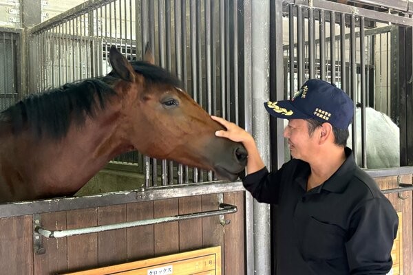 平安騎馬隊に所属する「愛宕号」（京都市左京区・平安騎馬隊厩舎）