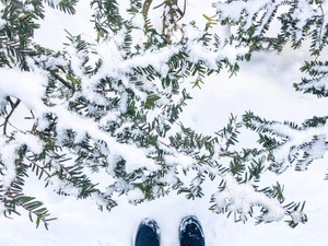 東京を離れて自分を「あきらめた」ら少しだけ自由になれた