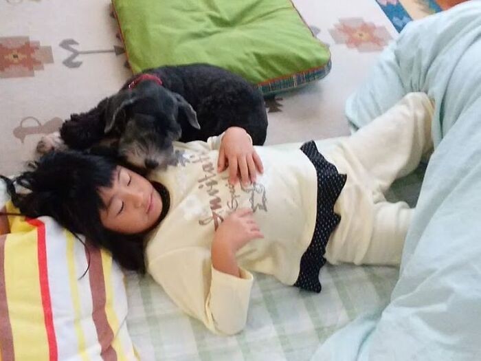 孫の渚美ちゃんを心配そうにのぞき込むコナン君。スタッフが体調を崩しても寄り添った。「お客さんが元気が無い時にも寄り添っていて、後からお父さんが亡くなり落ちこんでいたと知りました。心を察することのできる犬でした」（千恵子さん提供）