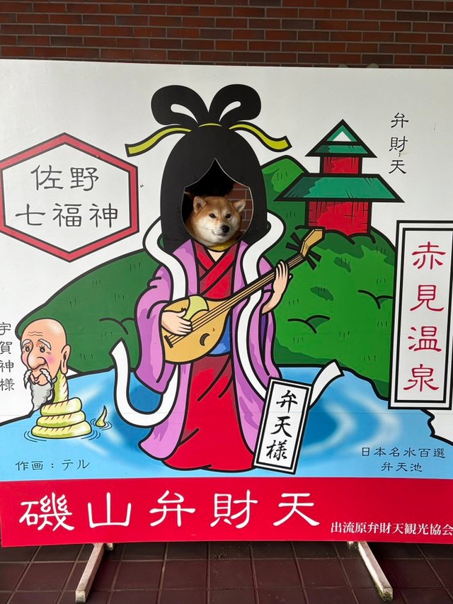 ちびこちゃんの「顔出しパネル」シリーズ（画像提供：柴犬ちびこさん）