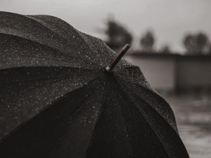 「傘、盗まれちゃった」と苦笑し、傘に入れてもらった。「孤独」じゃなくなった