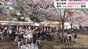 宮城県各地で桜が満開　花見を楽しむ　一目千本桜　仙台・西公園
