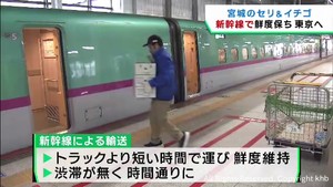 ２０２４年問題を見据えて宮城県産のセリとイチゴを東北新幹線で東京へ