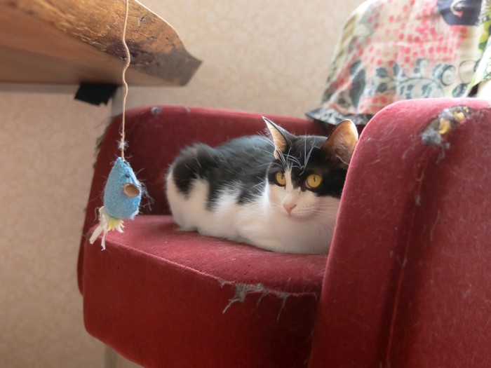 はるのアドバイスのおかげで取材は円滑に