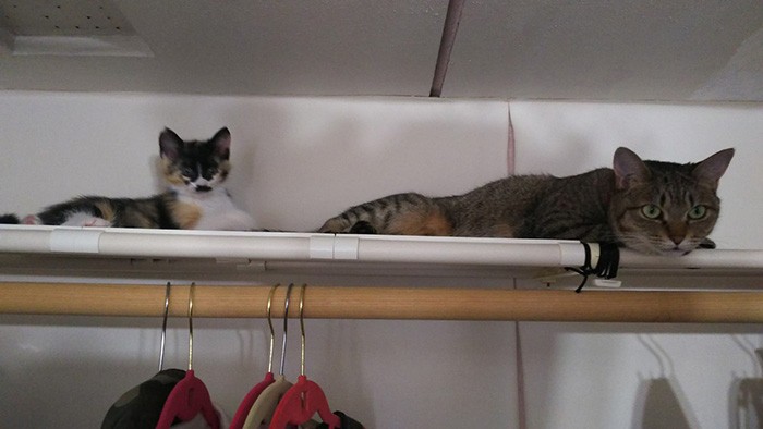 こつむちゃんのそばにいたら安心