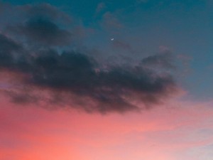 去り際までごくごく自然にキメたおばあちゃん。亡くなっても策士だった