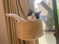 タワーでくつろぎタイム＝hachiware_natsuさん提供