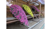 懸崖 提供:岡山後楽園