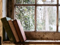 ローラーシューズを欲しがった私の元に来たのは坂本龍馬の伝記だった