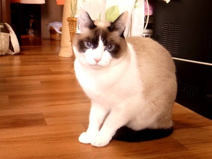 知らない人が来たので、すっかり緊張