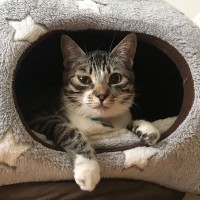 ベッドの中から家族の様子を伺っている