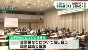 大型クロマグロ漁獲枠　国際会議で２０２５年から５０％増で合意