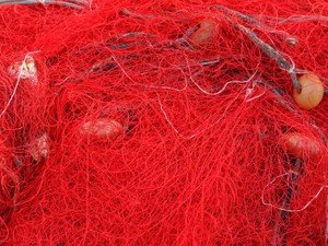 【厳選】「性の話、もっとオープンに」女性の性を考えるエッセイ５選