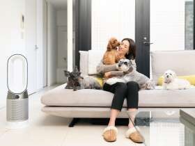 犬と暮らす家族を1年中快適にする、空気清浄ファンヒーター