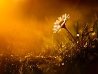 思いがけず訪れた窮屈な一年。ただ「好き」と伝えたかっただけなのに