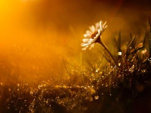 ばーばへ。あの日言えなかった言葉のかわりに伝えたい「だいすき」