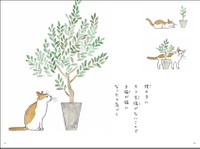 いつの間にか子猫が猫に（提供）
