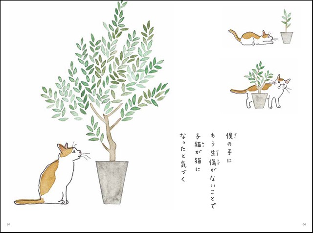 いつの間にか子猫が猫に（提供）