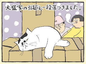 猫１匹たりとも脱走させまい……！　怒濤の猫連れ引っ越しで身についた、朝の新習慣