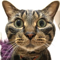 びっくり顔のマルちゃん。表情が豊か