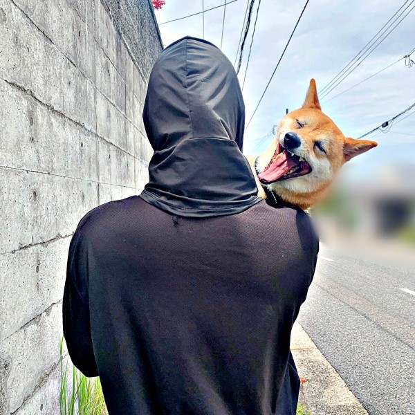 飼い主さんと一緒にお出かけするろくくん（画像提供：柴犬 ろくさん）