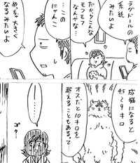 このままではデカネコになることが必至（横山了一さん提供）