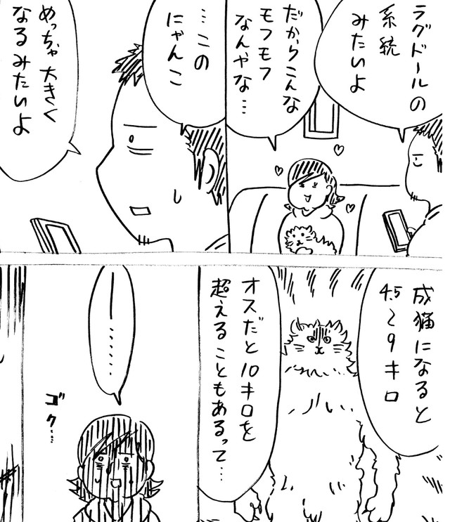 このままではデカネコになることが必至（横山了一さん提供）