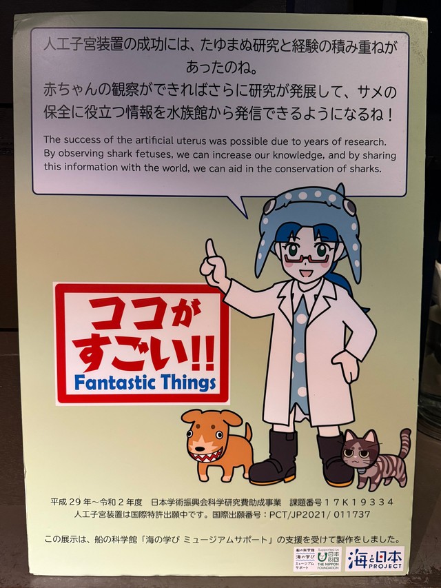 （すかもめさん提供）