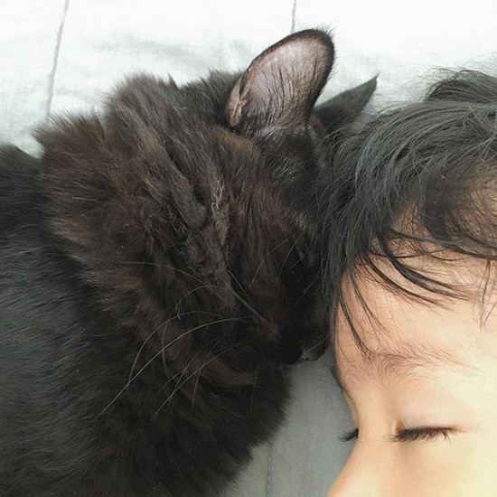 兄弟のように仲良し