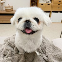にっこり笑顔がキュートななじゅちゃん（画像提供：なじゅさん）