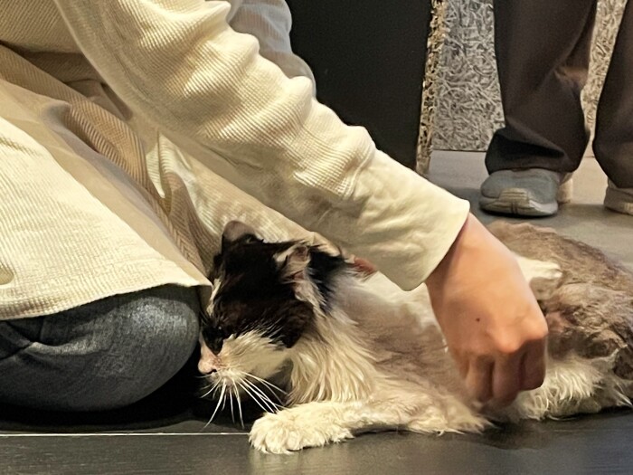 ５月、トライアルに出発。「しあわせになるんだよ」（けいさん提供）