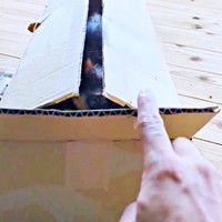 指チョンをじっと見つめるみたらしちゃん（画像提供：少年さん）