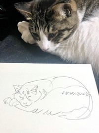 愛猫とスケッチ 03／はいらずんばさん（@HairazunbaY）提供