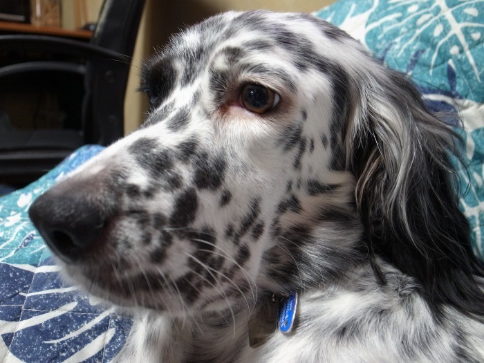 「人間は怖くないよね」