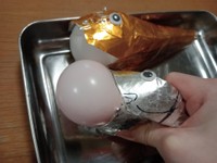 （カニ軍艦太郎さん提供）