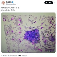 高須克弥院長のX(旧ツイッター)＠katsuyatakasuより