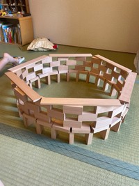 大屋根リング、完成しました（提供：世界史の鳩／山本直人さん）