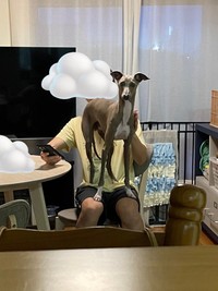 膝上ですっと立ち上がるプットくん（画像提供：プットさん）