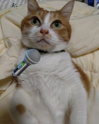 歌います！＝かなたさん（@S6TXKpDov2VJIDO）提供