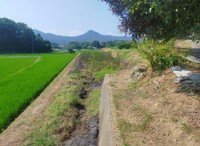 丸亀市で下草火災　野焼きをしていたとみられる99歳の男性が死亡　香川・丸亀市
