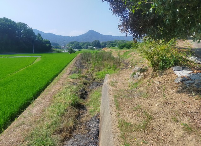 丸亀市で下草火災　野焼きをしていたとみられる99歳の男性が死亡　香川・丸亀市