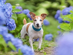 ２０１９インスタ映えで賞　ジャック「愛美」
