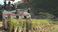 岡山・新見市に稲刈りシーズン到来　例年より1週間ほど早く