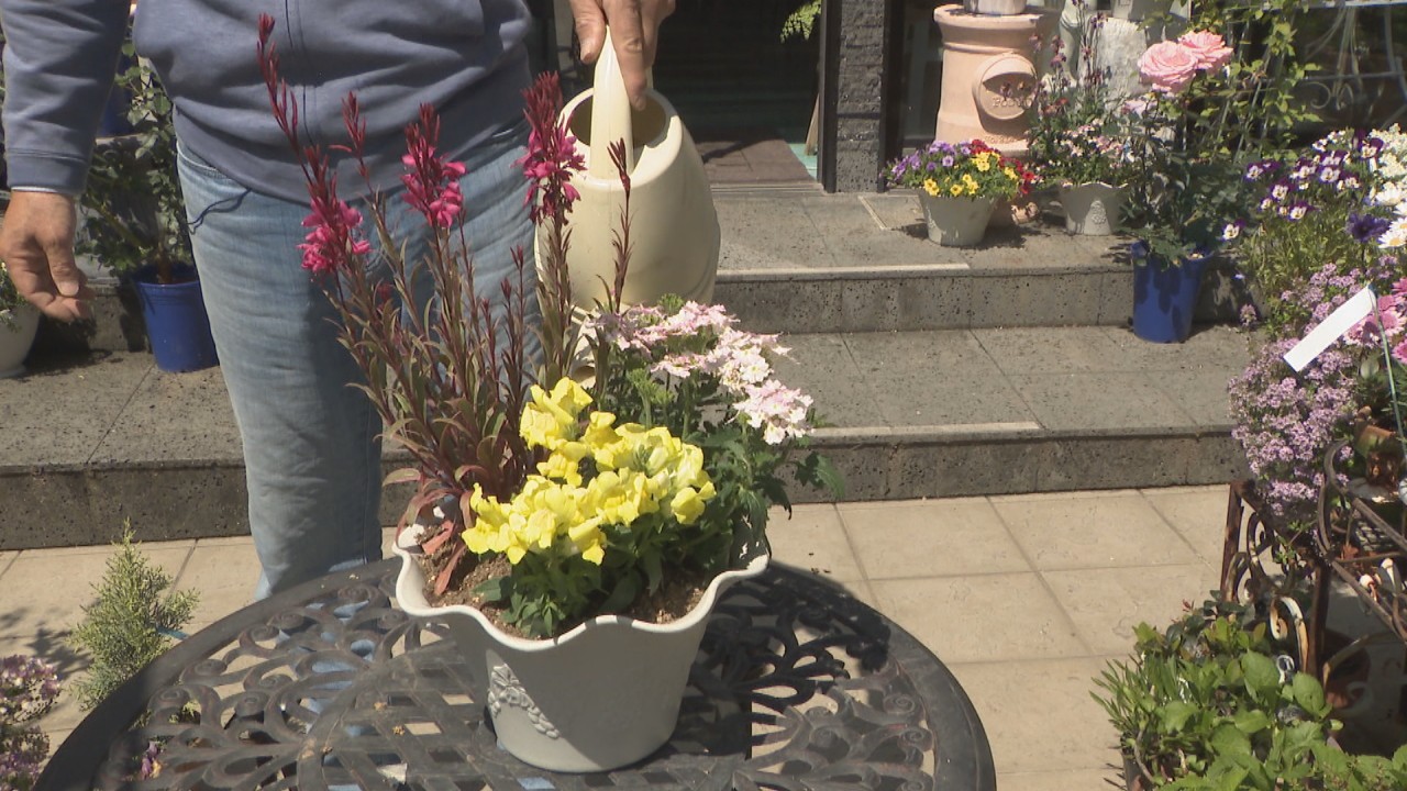 5月4日はみどりの日 「初心者向けの花」「寄せ植えの方法は？」花の
