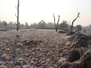 「意識高すぎ」そんな目で見られることもあるけれど、環境問題に私ができること