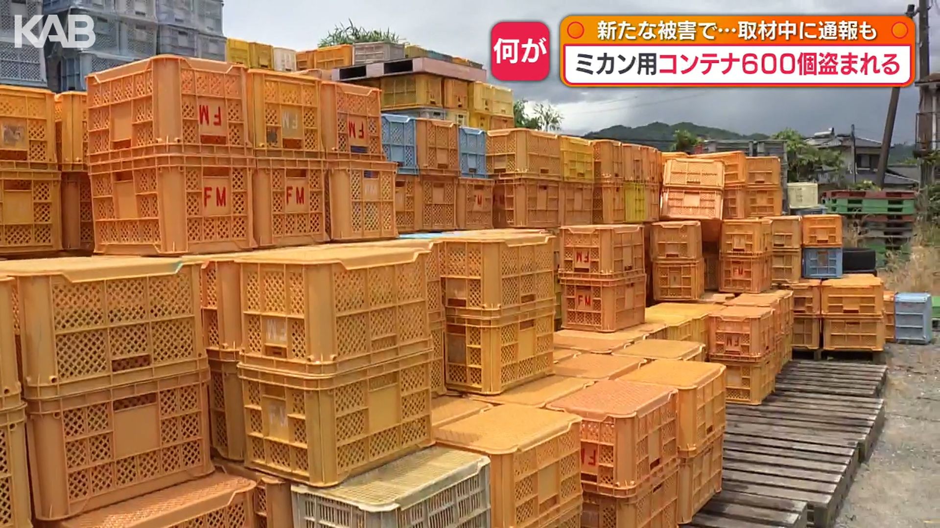 ぱっくん＠土日受取不可専用 10トン車1台分なくなった」ミカン用のコンテナ大量盗難 ナフサ不足で